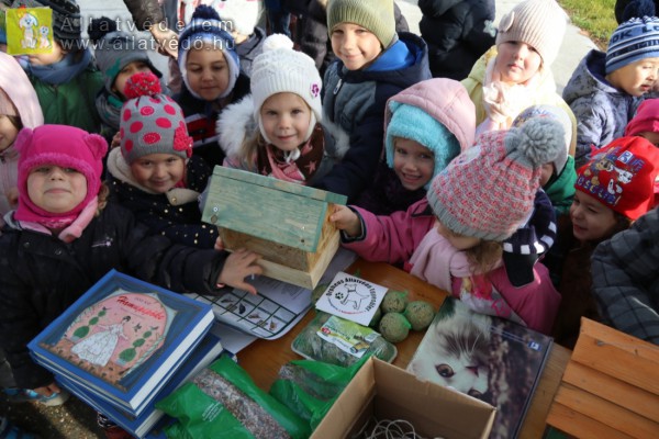 Életmentő a madáretetés hóesésben