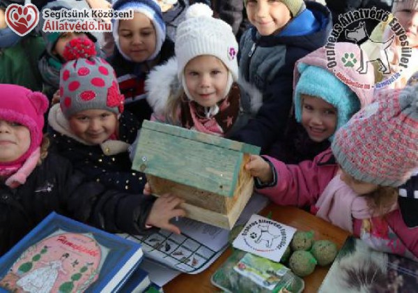 Felelős állattartás karantén idején is