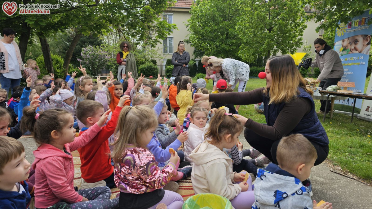 Állatvédelem, természetismeret, jeles napok az állatvédőkkel