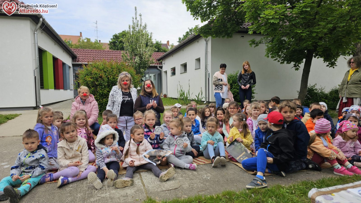 Állatvédelem, természetismeret, jeles napok az állatvédőkkel
