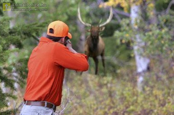 Állatok Világnapja október 4.: az ember kezében az állat