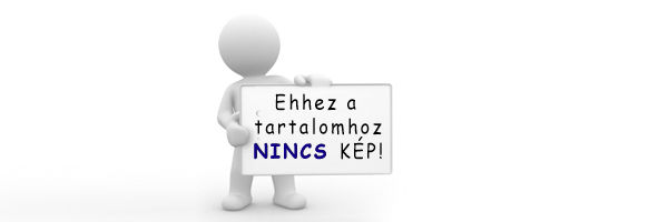 Elveszett cica